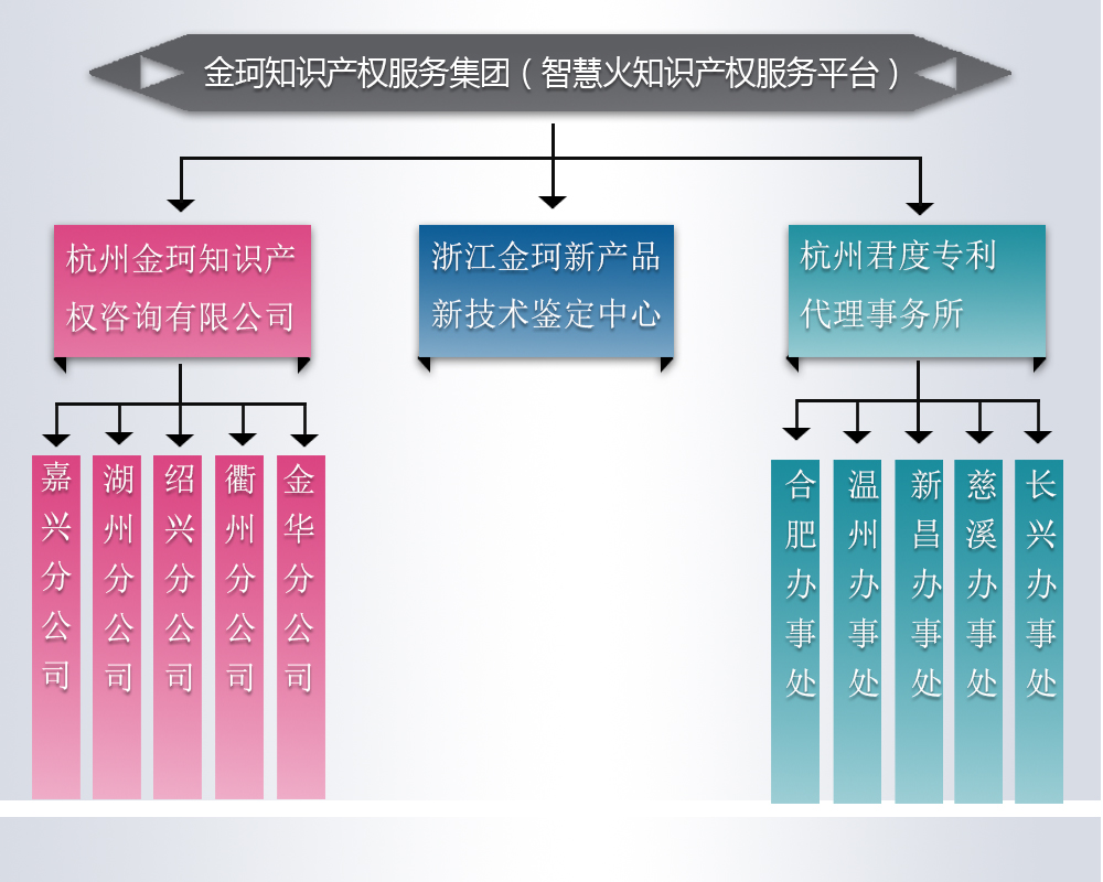 金珂知识产权服务集团.jpg